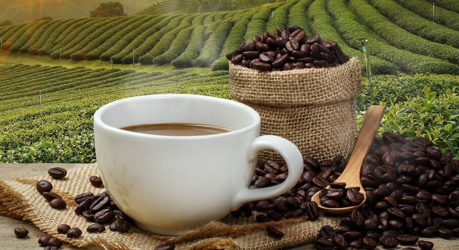 Xin giấy phép an toàn thực phẩm cơ cở chế biến cà phê